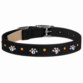 Susan Lanci Designs Crystal Paws Collar (Color: Black, size: large)