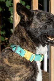 Island Vibes Waterproof Dog Collar (size: 11 - 13 inch)