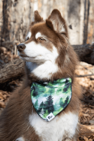 Evergreen Explorer Dog Bandana (size: M/L - 27in x 13in)