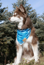 Blue Spruce Plaid Dog Bandana (size: S/M - 18in x 10in)