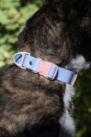 Blue Sky Orchid Waterproof Dog Collar (size: 15 - 17 inch)