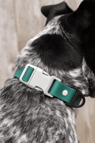 Siberian Spruce Waterproof Dog Collar (size: 15 - 17 inch)