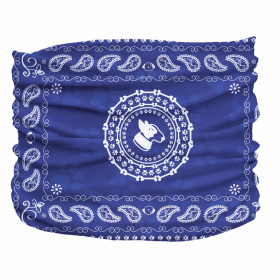 Bandana Pup Scruff (Color: Blue, size: Teeny)